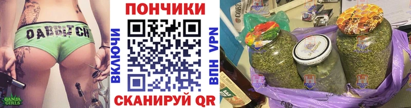 где купить наркоту  Устюжна  Бошки марихуана тримм 
